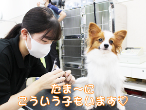 １年生、カットもがんばっています！